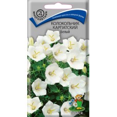 Колокольчик карпатский Белый Колокольчик карпатский Белый