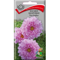 Космея махровая Роуз бонбон