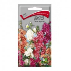 Кларкия изящная Смесь окрасок