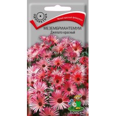Мезембриантемум	 Джелато красный Мезембриантемум	 Джелато красный