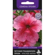 Петуния грандифлора призм Красные Жилки