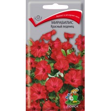 Мирабилис Красный леденец