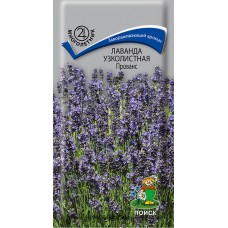 Лаванда узколистная Прованс