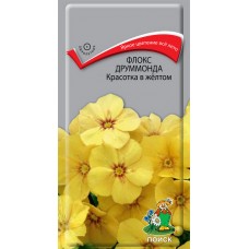 Флокс друммонда Красотка в желтом