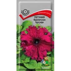 Петуния Фриллитуния бургунди