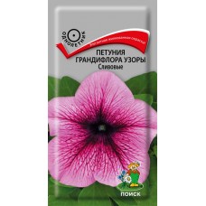 Петуния грандифлора Узоры Сливовые