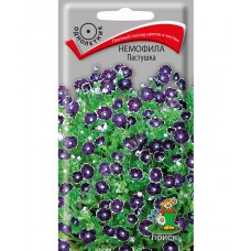 Немофила Пастушка