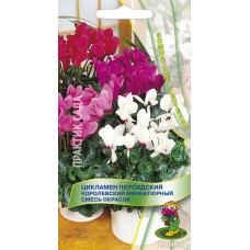 Цикламен персидский Королевский миниатюрный смесь окрасок