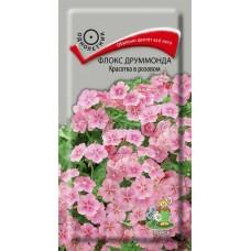 Флокс друммонда Красотка в розовом