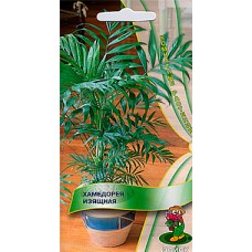 Хамедорея Изящная