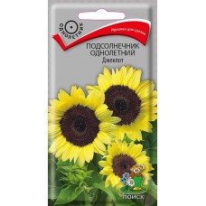 Подсолнечник однолетний Джекпот