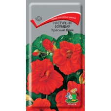 Настурция большая Красный блик