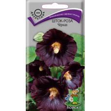 Шток-роза Черная