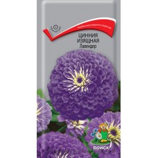 Цинния изящная Лавендер