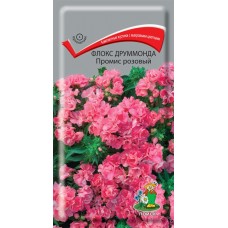 Флокс друммонда Промис розовый