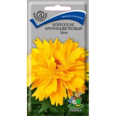 Кореопсис крупноцветковый Затея