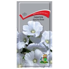 Лаватера Красотка белая