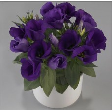 Эустома Кармен Блю