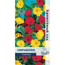 Мирабилис Кавалер