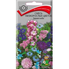 Смесь низкорослых цветов Зимнее небо