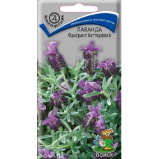 Лаванда Фрагрант баттерфляй
