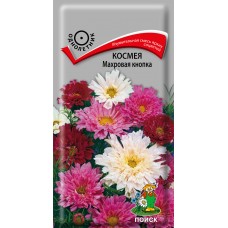 Космея Махровая кнопка