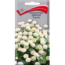 Хризантема девичья Сноу бол