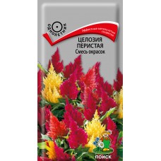 Целозия перистая Смесь окрасок