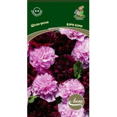 Шток-роза Вэри Бэри