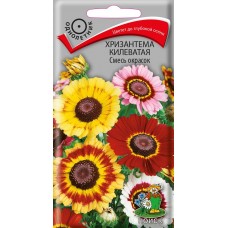 Хризантема килеватая Смесь окрасок