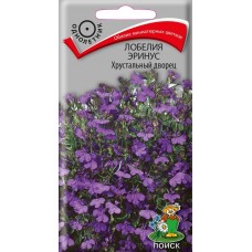 Лобелия эринус Хрустальный дворец