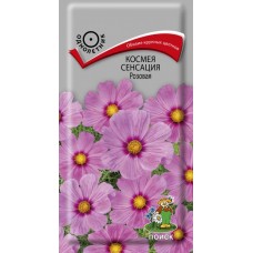 Космея Сенсация Розовая