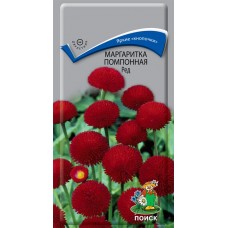 Маргаритка помпонная Ред