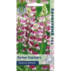 Люпин Хартвега Красно-белый