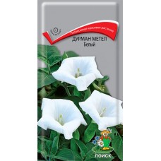 Дурман метел Белый