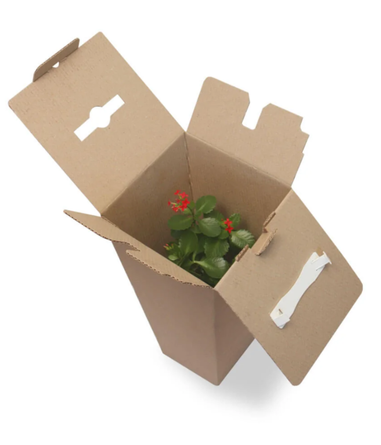 Коробки box3