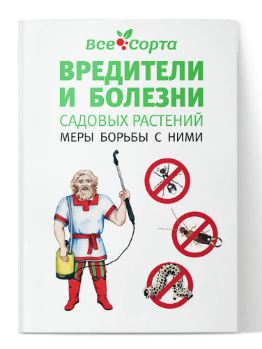 book_sorta.png