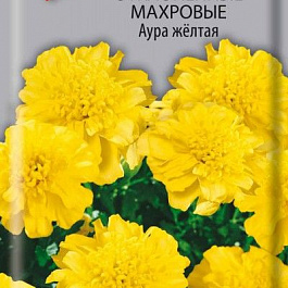 Бархатцы отклоненные махровые Аура желтая