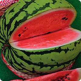 Арбуз Быковский 22