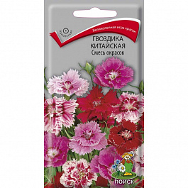 Гвоздика Китайская Смесь окрасок