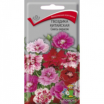 Гвоздика Китайская Смесь окрасок