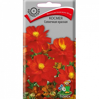 Космея Солнечная красная