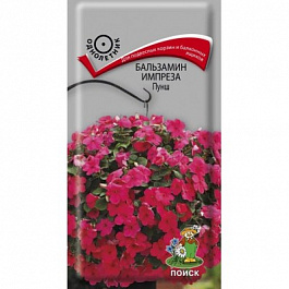 Бальзамин Импреза Пунш