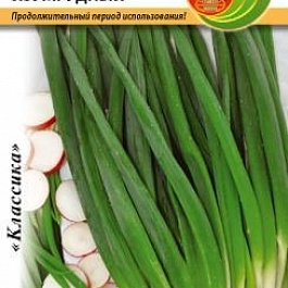 Лук Батун Изумрудный