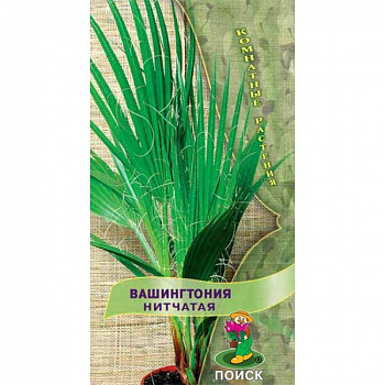 Вашингтония Нитчатая