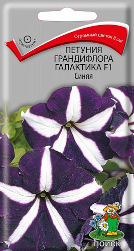 Петуния грандифлора Галактика F1 Синяя