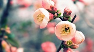 ☝ Ликбез для садовода - часть 38