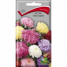 Астра Смесь сортов