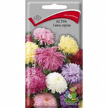 Астра Смесь сортов