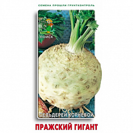 Сельдерей корневой Пражский гигант